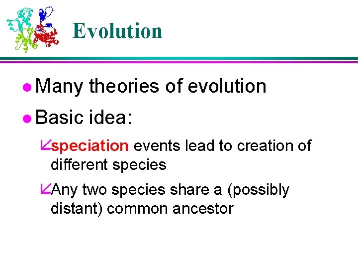 Evolution l Many theories of evolution l Basic idea: åspeciation events lead to creation Evolution l Many theories of evolution l Basic idea: åspeciation events lead to creation