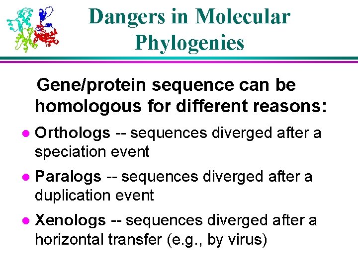 Dangers in Molecular Phylogenies Gene/protein sequence can be homologous for different reasons: l Orthologs Dangers in Molecular Phylogenies Gene/protein sequence can be homologous for different reasons: l Orthologs