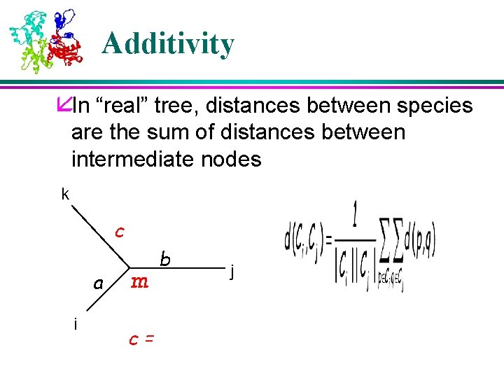 Additivity åIn “real” tree, distances between species are the sum of distances between intermediate Additivity åIn “real” tree, distances between species are the sum of distances between intermediate