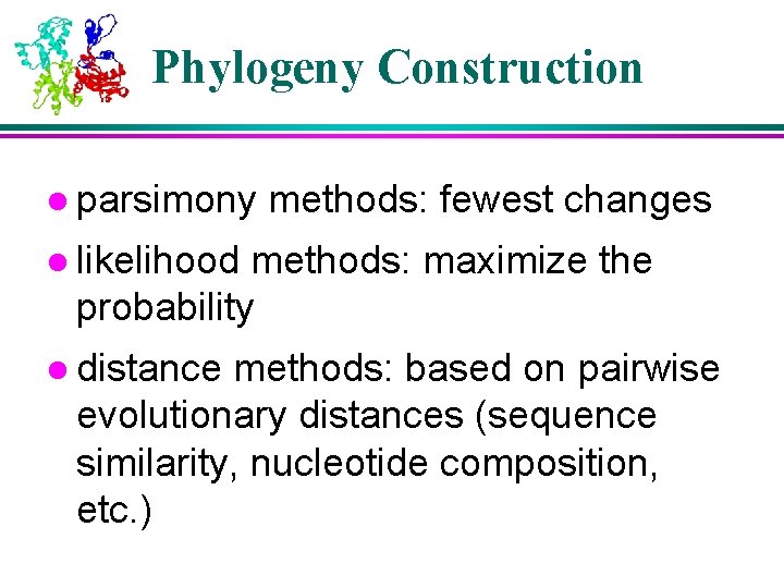 Phylogeny Construction l parsimony methods: fewest changes l likelihood methods: maximize the probability l Phylogeny Construction l parsimony methods: fewest changes l likelihood methods: maximize the probability l