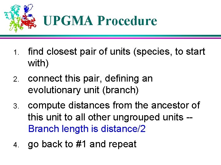 UPGMA Procedure 1. find closest pair of units (species, to start with) 2. connect UPGMA Procedure 1. find closest pair of units (species, to start with) 2. connect