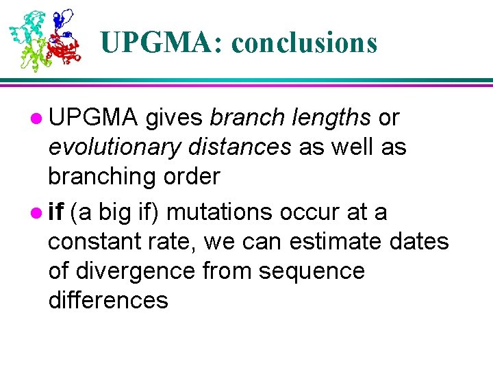 UPGMA: conclusions l UPGMA gives branch lengths or evolutionary distances as well as branching UPGMA: conclusions l UPGMA gives branch lengths or evolutionary distances as well as branching