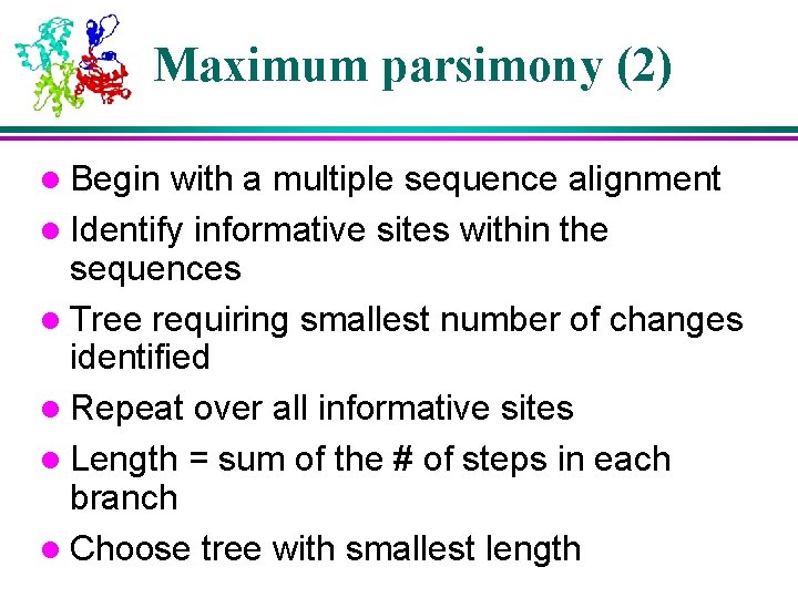 Maximum parsimony (2) l Begin with a multiple sequence alignment l Identify informative sites Maximum parsimony (2) l Begin with a multiple sequence alignment l Identify informative sites