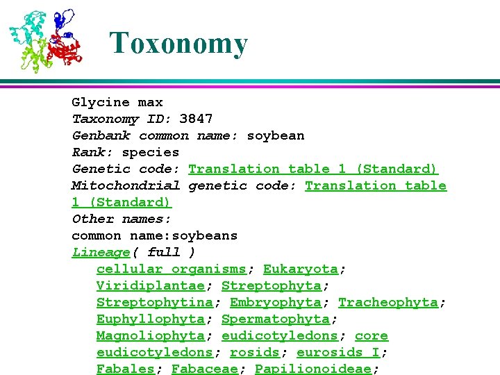 Toxonomy Glycine max Taxonomy ID: 3847 Genbank common name: soybean Rank: species Genetic code: Toxonomy Glycine max Taxonomy ID: 3847 Genbank common name: soybean Rank: species Genetic code: