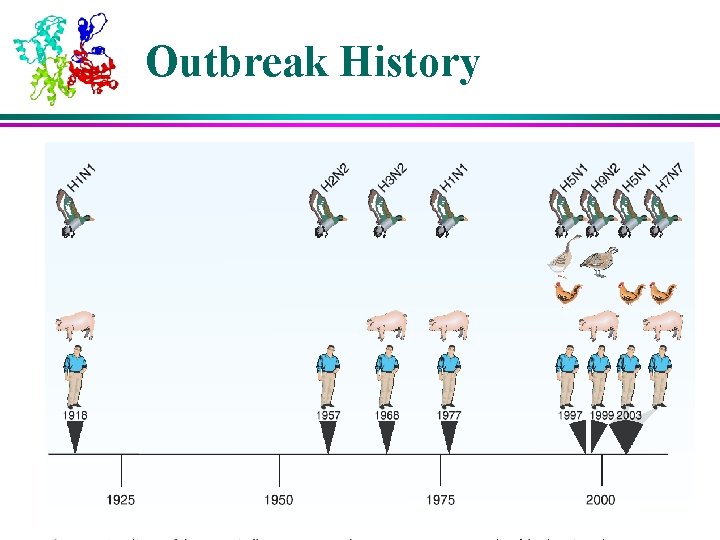 Outbreak History Outbreak History