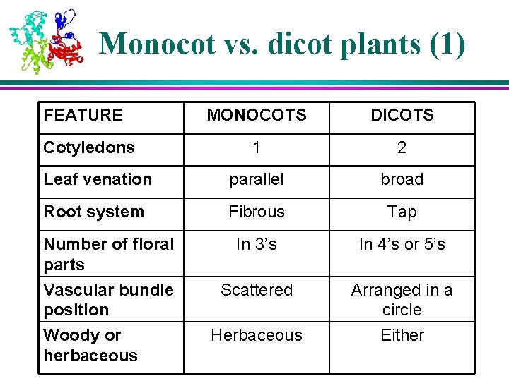Monocot vs. dicot plants (1) FEATURE MONOCOTS DICOTS 1 2 Leaf venation parallel broad Monocot vs. dicot plants (1) FEATURE MONOCOTS DICOTS 1 2 Leaf venation parallel broad