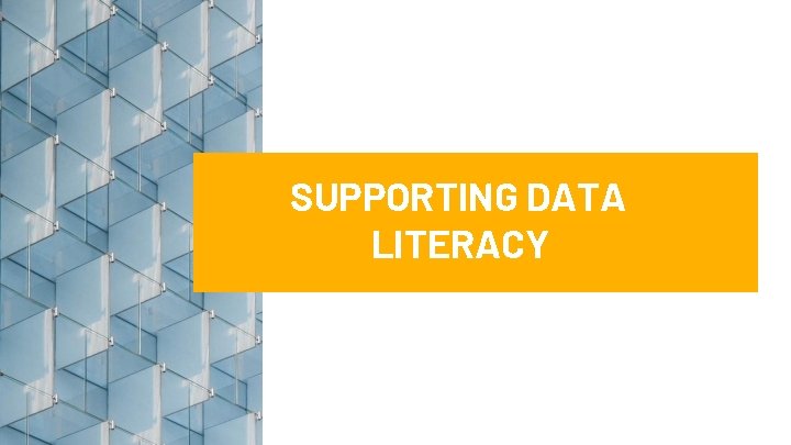 SUPPORTING DATA LITERACY 