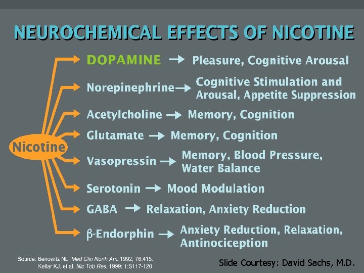 Neurochemical Effects Slide Courtesy: David Sachs, M. D. 