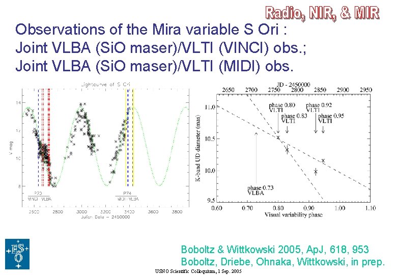 Observations of the Mira variable S Ori : Joint VLBA (Si. O maser)/VLTI (VINCI)