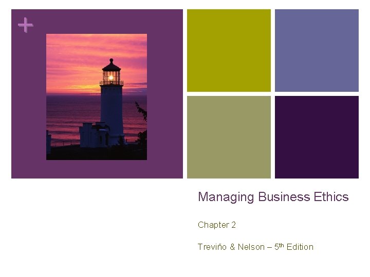 + Managing Business Ethics Chapter 2 Treviño & Nelson – 5 th Edition 