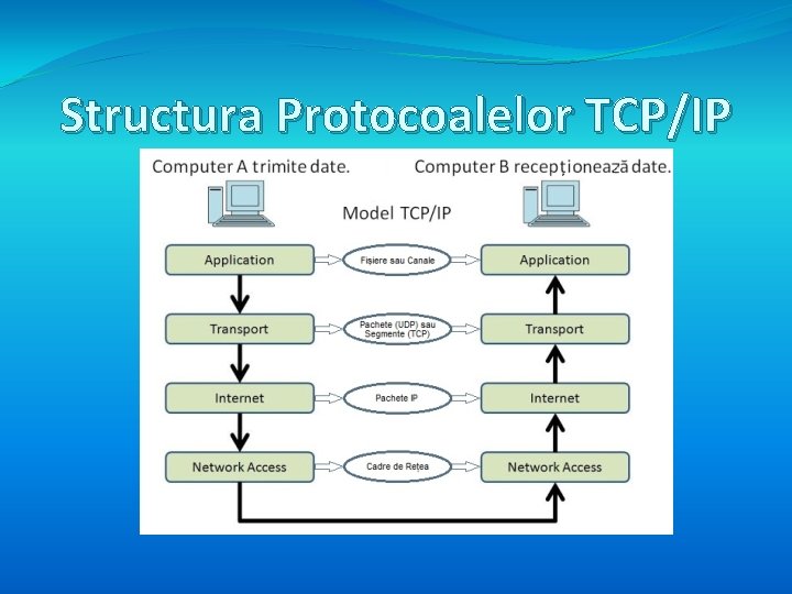 Structura Protocoalelor TCP/IP 