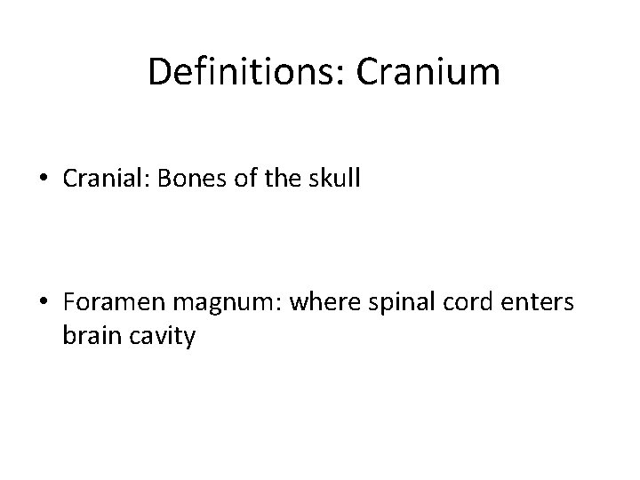 Definitions: Cranium • Cranial: Bones of the skull • Foramen magnum: where spinal cord