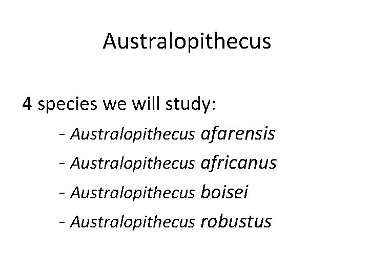 Australopithecus 4 species we will study: - Australopithecus afarensis - Australopithecus africanus - Australopithecus