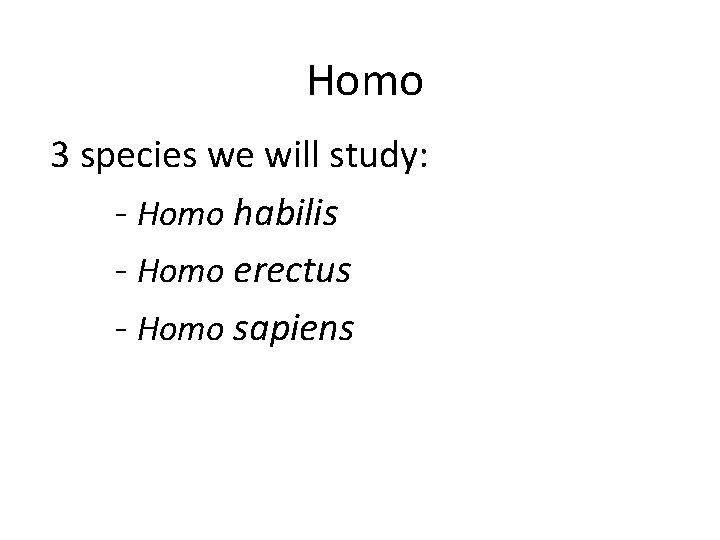Homo 3 species we will study: - Homo habilis - Homo erectus - Homo