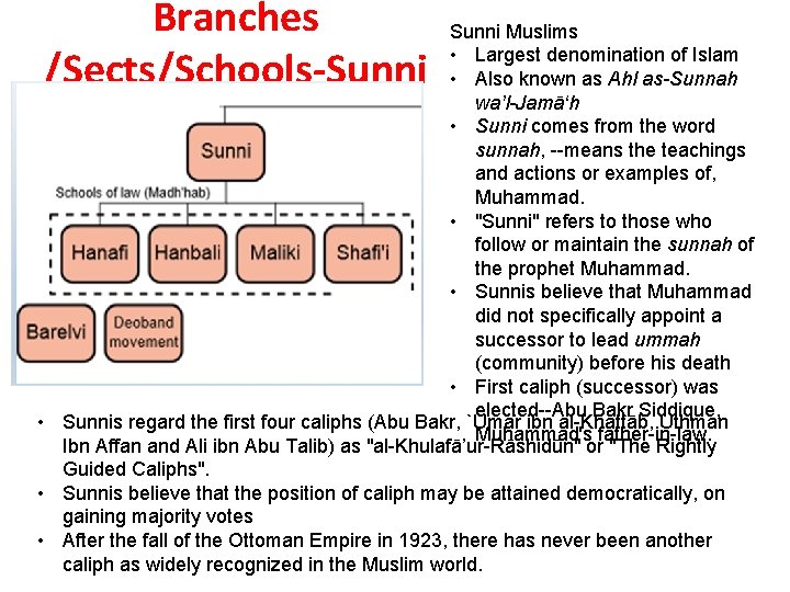 Branches /Sects/Schools-Sunni Muslims • Largest denomination of Islam • Also known as Ahl as-Sunnah