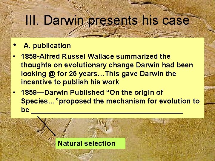 III. Darwin presents his case • A. publication • 1858 -Alfred Russel Wallace summarized