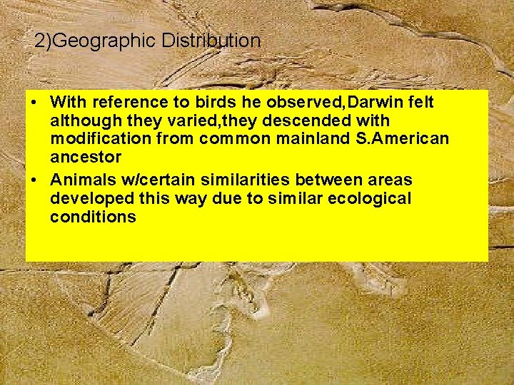 2)Geographic Distribution • With reference to birds he observed, Darwin felt although they varied,