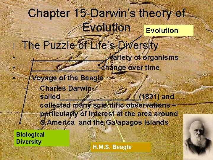 Chapter 15 -Darwin’s theory of Evolution I. The Puzzle of Life’s Diversity • •