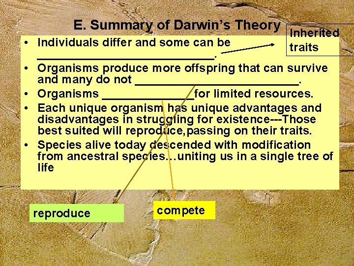 E. Summary of Darwin’s Theory Inherited traits • Individuals differ and some can be