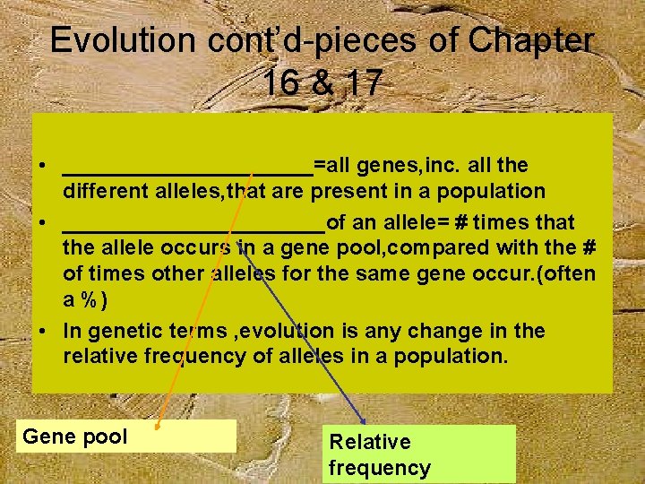 Evolution cont’d-pieces of Chapter 16 & 17 • ___________=all genes, inc. all the different