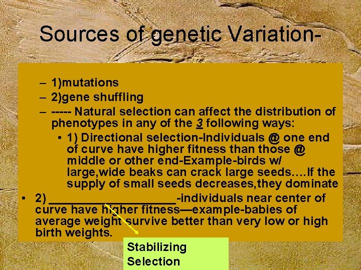 Sources of genetic Variation– 1)mutations – 2)gene shuffling – ----- Natural selection can affect