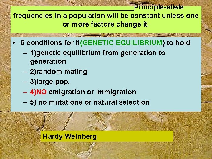 ______________Principle-allele frequencies in a population will be constant unless one or more factors change