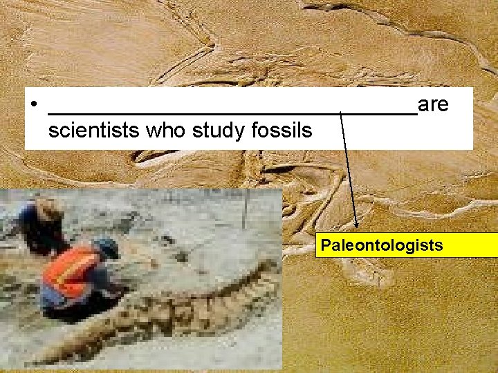  • _______________are scientists who study fossils Paleontologists 