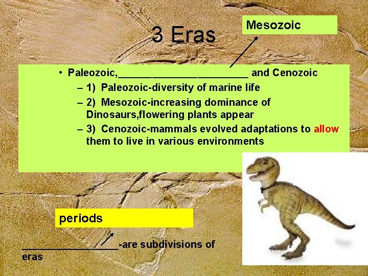 3 Eras Mesozoic • Paleozoic, ____________ and Cenozoic – 1) Paleozoic-diversity of marine life