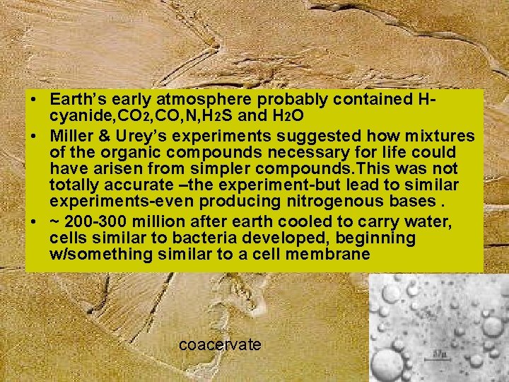  • Earth’s early atmosphere probably contained Hcyanide, CO 2, CO, N, H 2