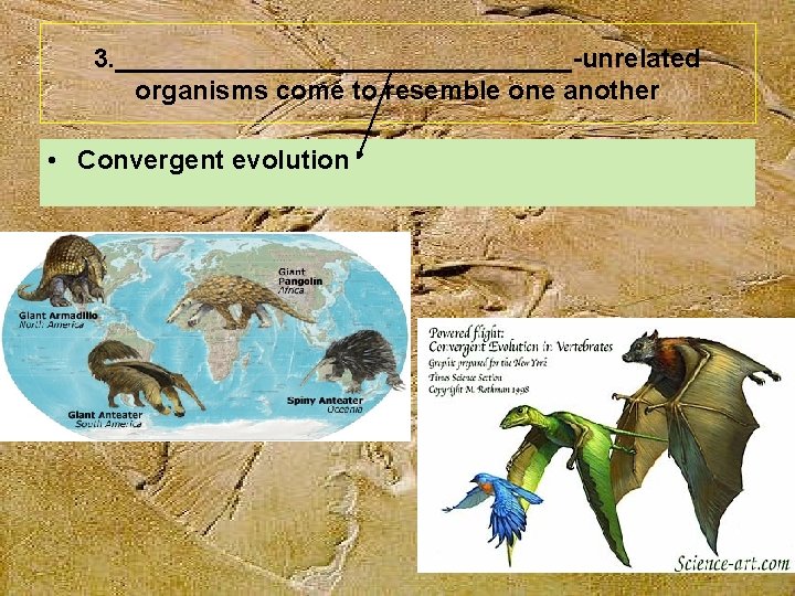 3. ________________-unrelated organisms come to resemble one another • Convergent evolution 