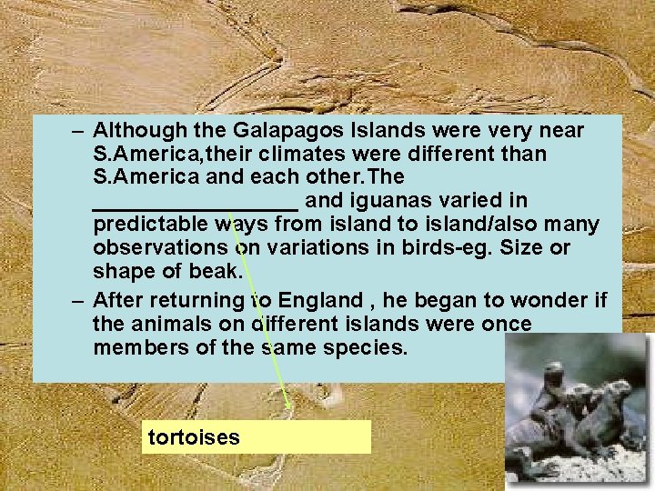 – Although the Galapagos Islands were very near S. America, their climates were different