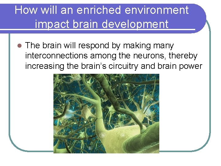 Environment Brain Development Child Development Quality of interactions during a childs