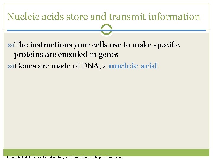 Nucleic acids store and transmit information The instructions your cells use to make specific