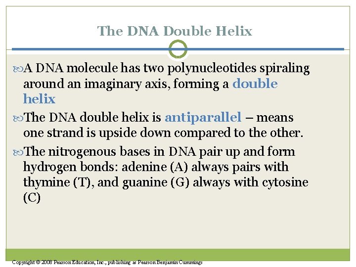 The DNA Double Helix A DNA molecule has two polynucleotides spiraling around an imaginary