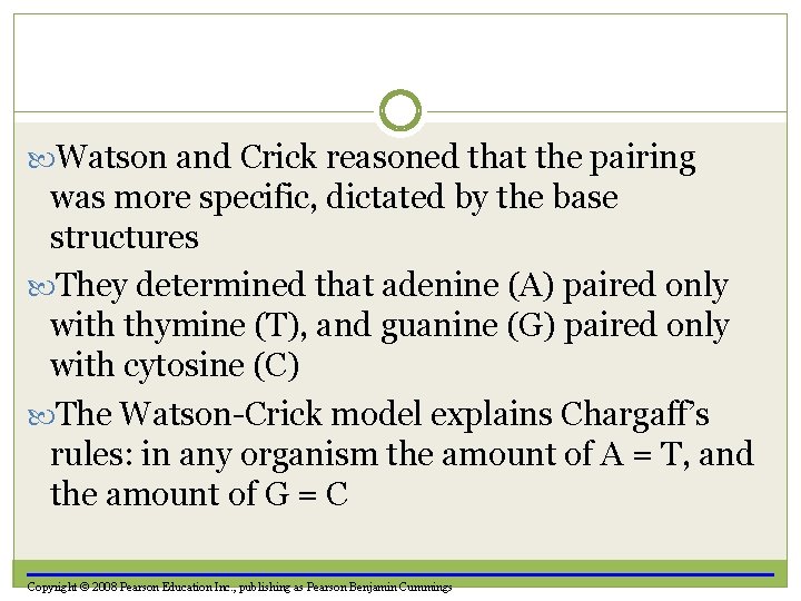  Watson and Crick reasoned that the pairing was more specific, dictated by the
