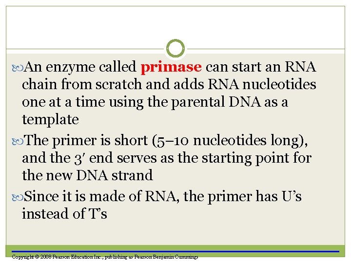  An enzyme called primase can start an RNA chain from scratch and adds