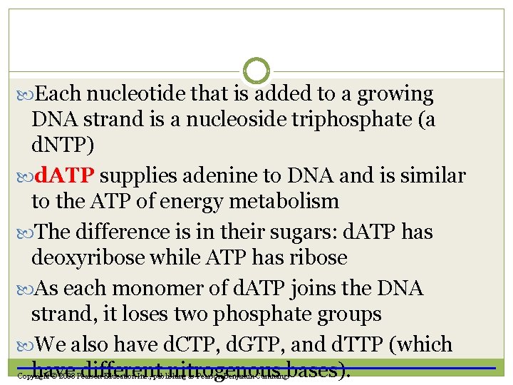  Each nucleotide that is added to a growing DNA strand is a nucleoside