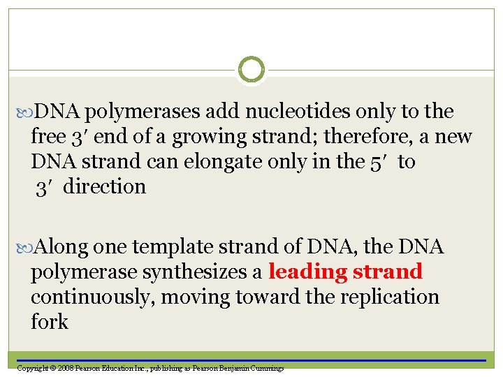  DNA polymerases add nucleotides only to the free 3 end of a growing