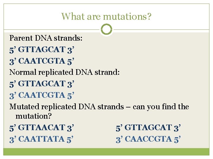 What are mutations? Parent DNA strands: 5’ GTTAGCAT 3’ 3’ CAATCGTA 5’ Normal replicated