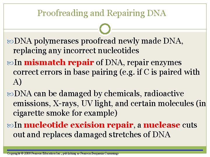 Proofreading and Repairing DNA polymerases proofread newly made DNA, replacing any incorrect nucleotides In