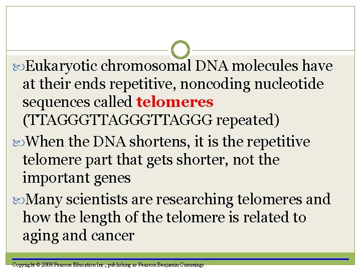  Eukaryotic chromosomal DNA molecules have at their ends repetitive, noncoding nucleotide sequences called