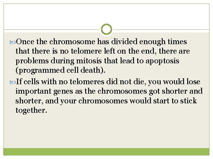  Once the chromosome has divided enough times that there is no telomere left