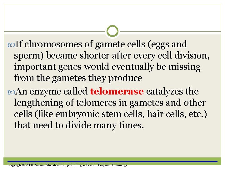 If chromosomes of gamete cells (eggs and sperm) became shorter after every cell
