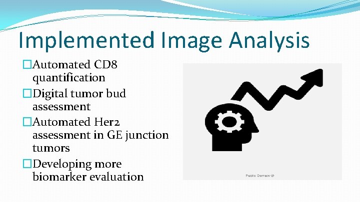 Implemented Image Analysis �Automated CD 8 quantification �Digital tumor bud assessment �Automated Her 2