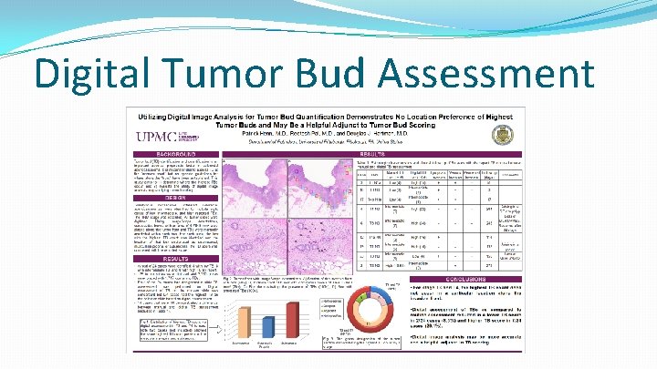 Digital Tumor Bud Assessment 