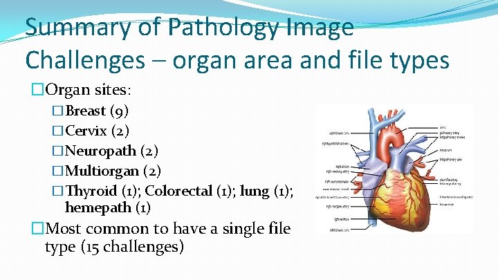 Summary of Pathology Image Challenges – organ area and file types �Organ sites: �Breast