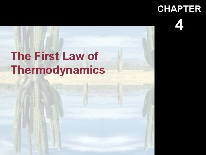 CHAPTER 4 The First Law of Thermodynamics 