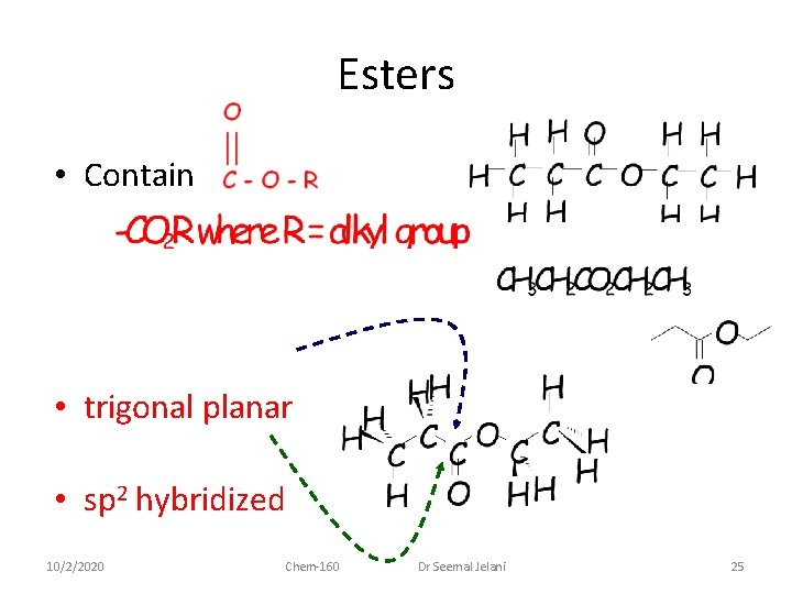 Esters • Contain • trigonal planar • sp 2 hybridized 10/2/2020 Chem-160 Dr Seemal