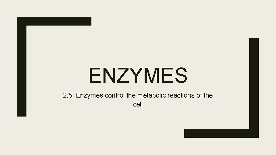 ENZYMES 2. 5: Enzymes control the metabolic reactions of the cell 