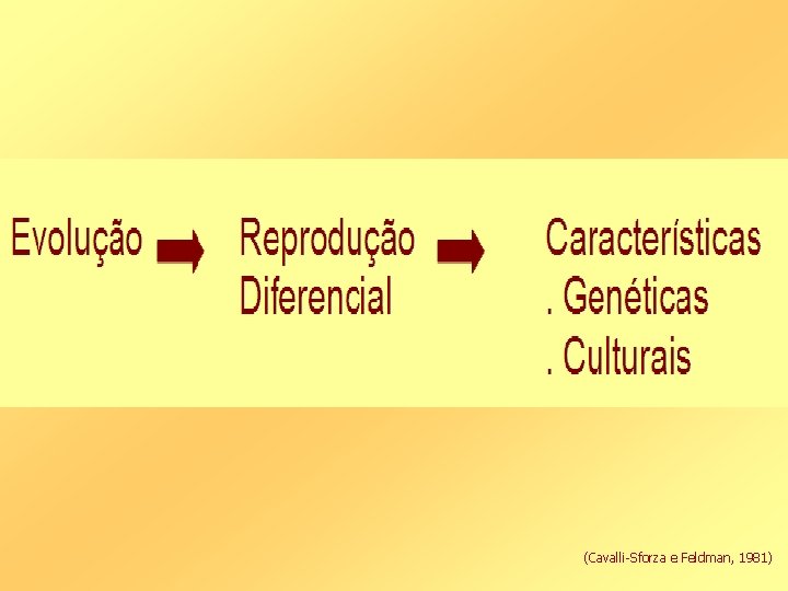 (Cavalli-Sforza e Feldman, 1981) 